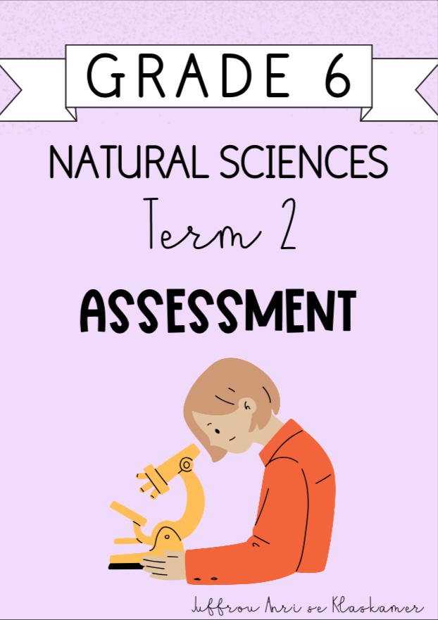 Grade 6 Natural Sciences Term 2 Assessment (2024)