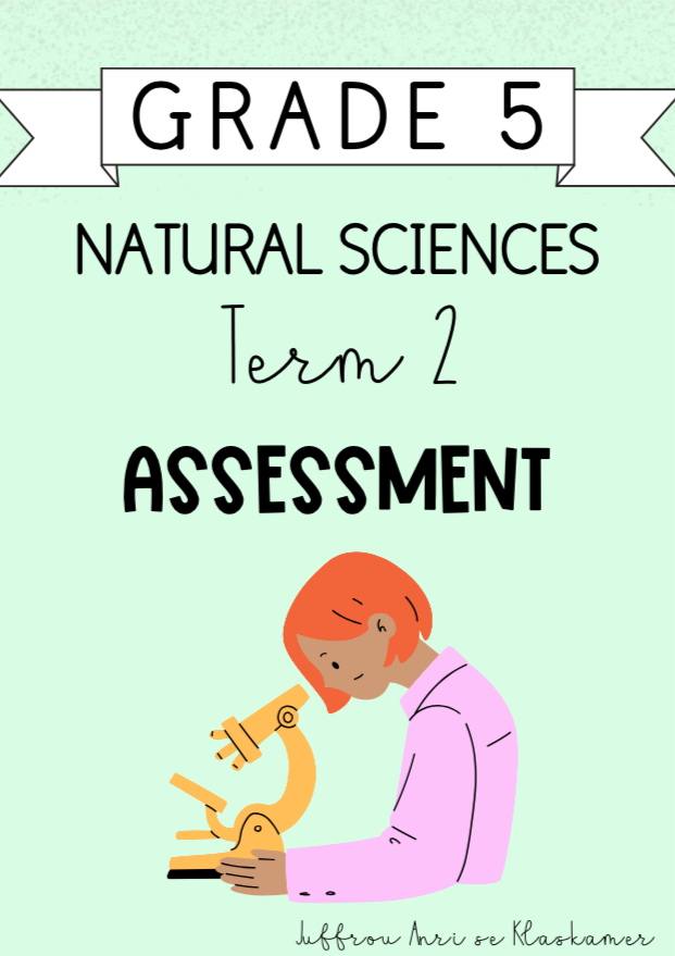 Grade 5 Natural Sciences Term 2 Assessment (2024)