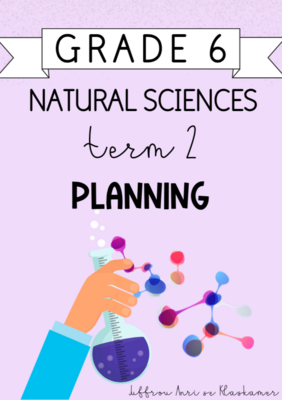 Grade 6 Natural Sciences Term 2 Planning (2024)
