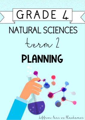 Grade 4 Natural Sciences Term 2 Planning (2024)