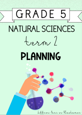 Grade 5 Natural Sciences Term 2 Planning (2024)