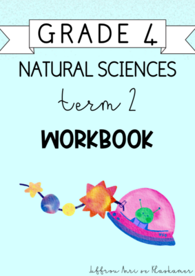 Grade 4 Natural Sciences Term 2 Workbook (2024)