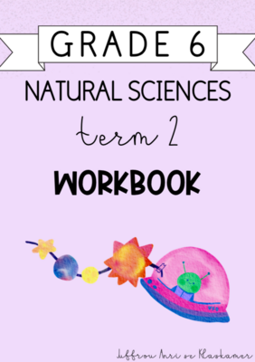 Grade 6 Natural Sciences Term 2 Workbook (2024)