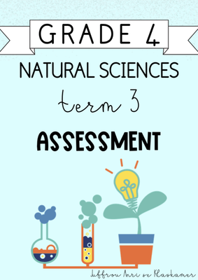 Grade 4 Natural Sciences Term 3 Assessment (2024)