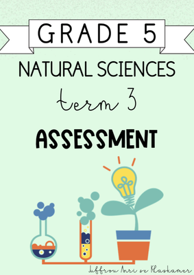Grade 5 Natural Sciences Term 3 Assessment (2024)