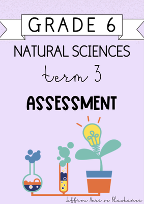 Grade 6 Natural Sciences Term 3 Assessment (2024)