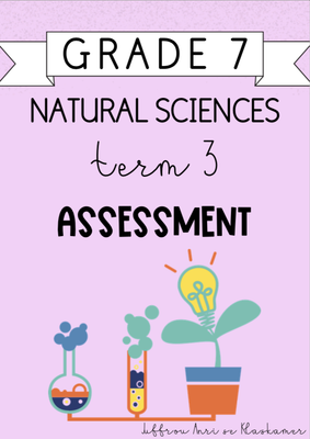 Grade 7 Natural Sciences Term 3 Assessment (2024)
