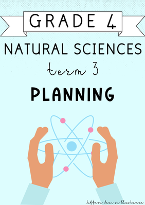 Grade 4 Natural Sciences Term 3 Planning (2024)