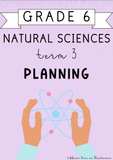 Grade 6 Natural Sciences Term 3 Planning (2024)