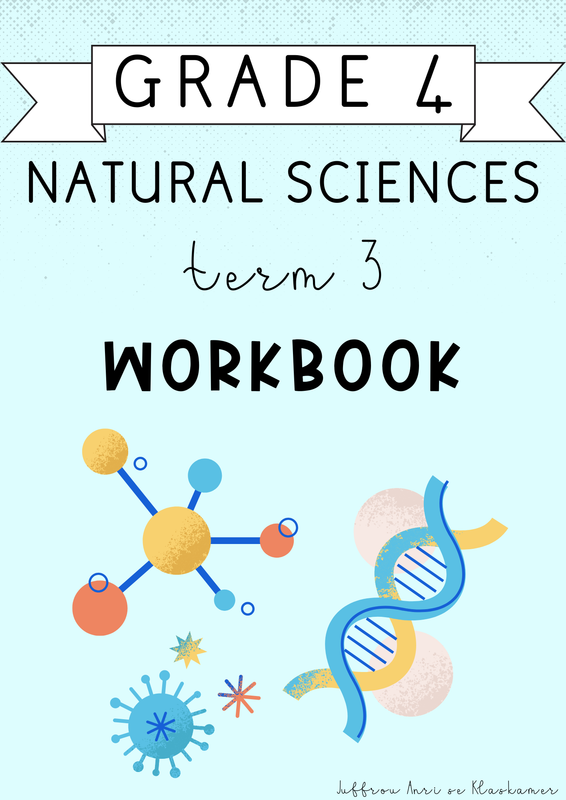 Grade 4 Natural Sciences Term 3 Workbook (2024)