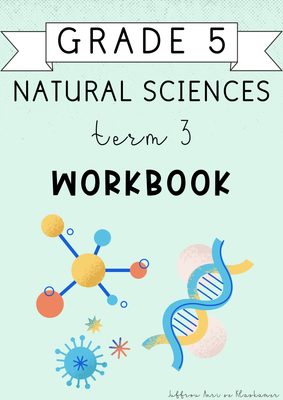 Grade 5 Natural Sciences Term 3 Workbook (2024)