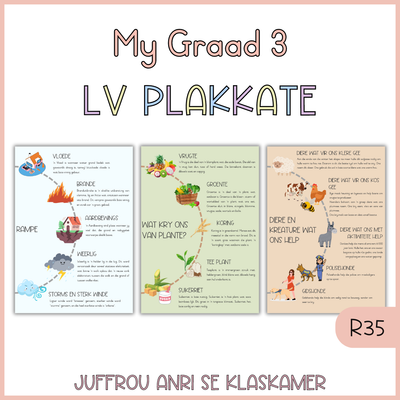My Graad 3 Lewensvaardighede Plakkate (2024)