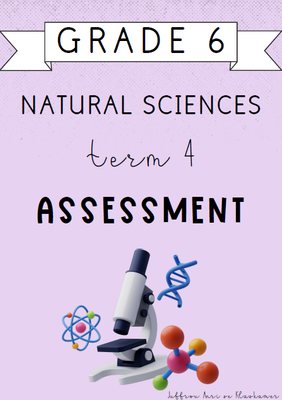 Grade 6 Natural Sciences Term 4 Assessment (2024)