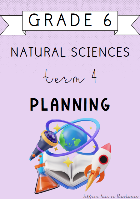 Grade 6 Natural Sciences Term 4 Planning (2024)