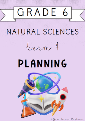 Grade 6 Natural Sciences Term 4 Planning (2024)