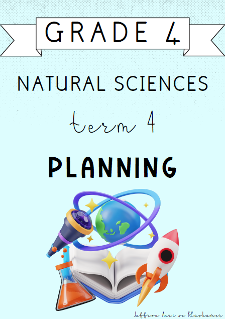 Grade 4 Natural Sciences Term 4 Planning (2024)