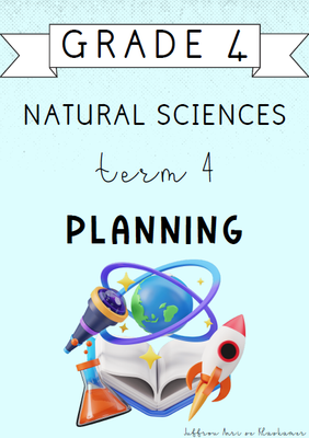 Grade 4 Natural Sciences Term 4 Planning (2024)