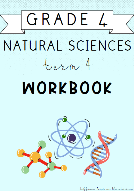 Grade 4 Natural Sciences Term 4 Workbook (2024)