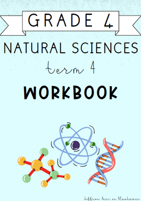 Grade 4 Natural Sciences Term 4 Workbook (2024)
