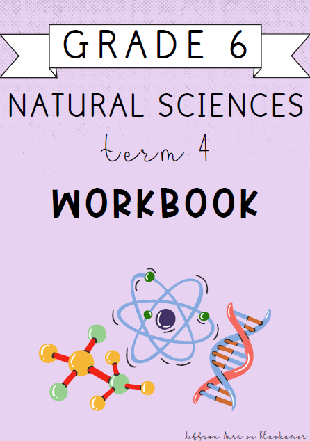 Grade 6 Natural Sciences Term 4 Workbook (2024)