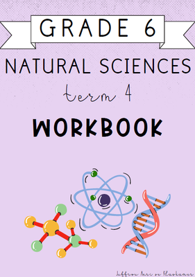 Grade 6 Natural Sciences Term 4 Workbook (2024)