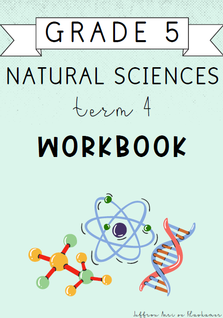 Grade 5 Natural Sciences Term 4 Workbook (2024)