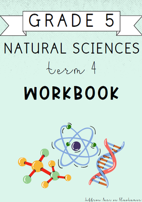 Grade 5 Natural Sciences Term 4 Workbook (2024)