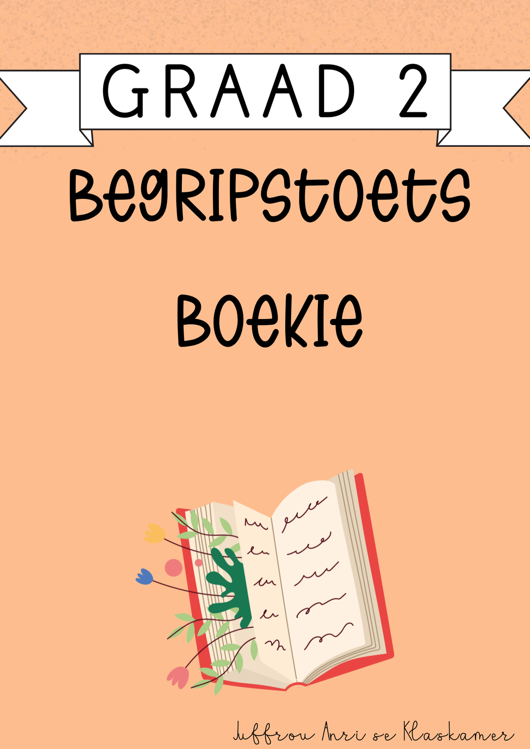 My Graad 2 Begripstoets Boekie