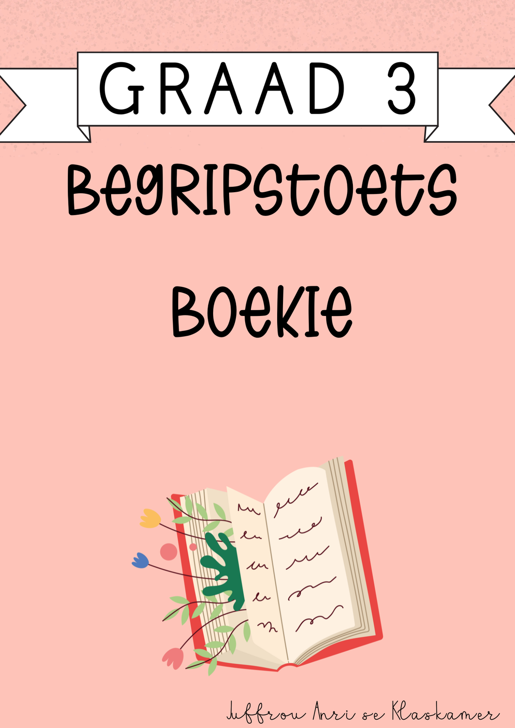 My Graad 3 Begripstoets Boekie