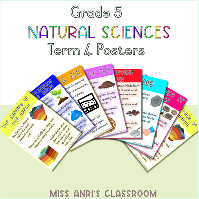 Grade 5 Natural Sciences Term 4 Posters (2024)