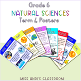 Grade 6 Natural Sciences Term 4 Posters (2024)