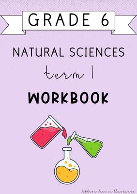 Grade 6 Natural Sciences Term 1 Workbook (#2025)