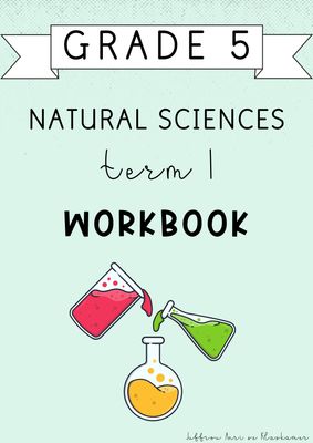 Grade 5 Natural Sciences Term 1 Workbook (#2025)