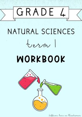 Grade 4 Natural Sciences Term 1 Workbook (#2025)