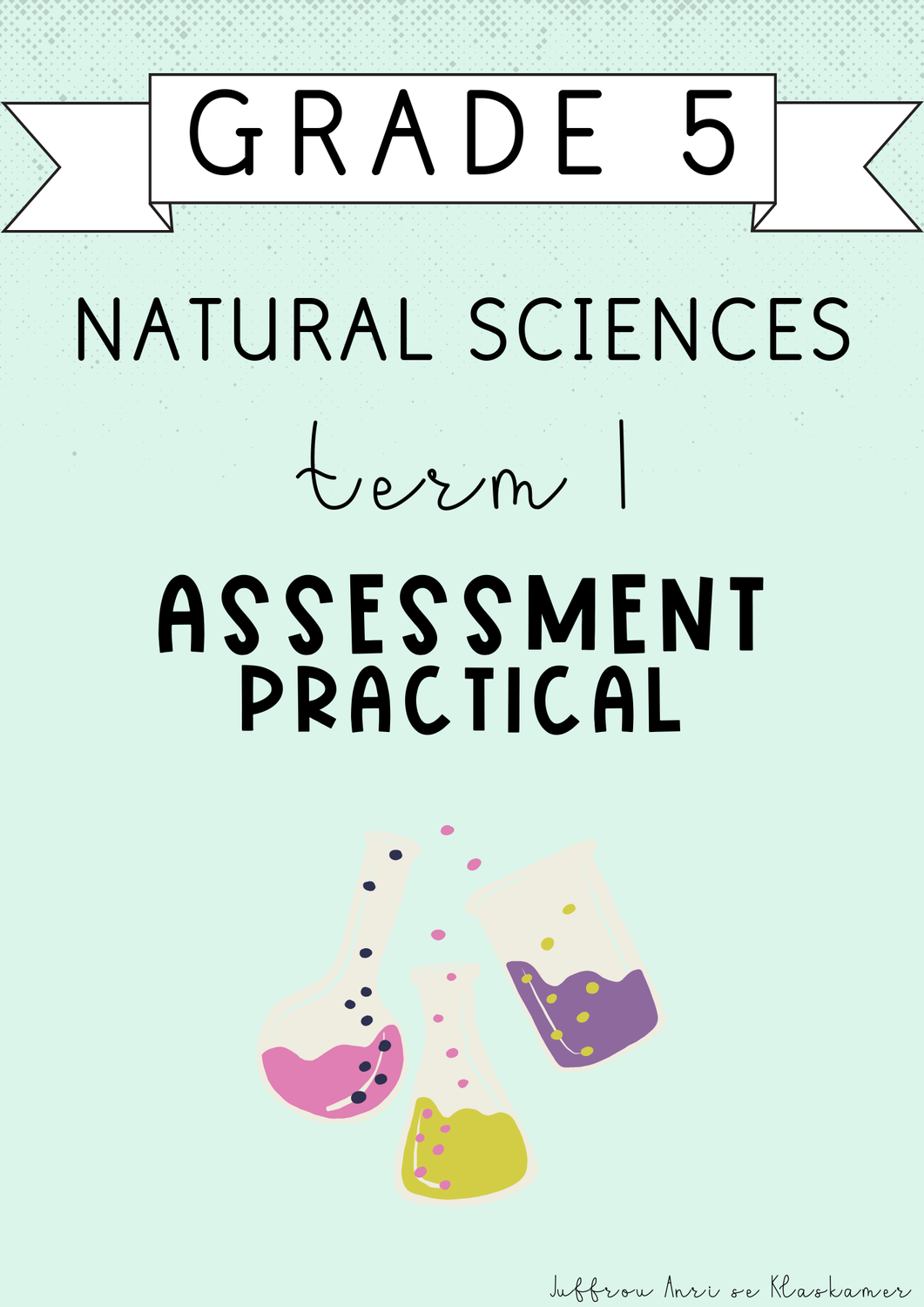 Grade 5 Natural Sciences Term 1 Practical Assessment (#2025)