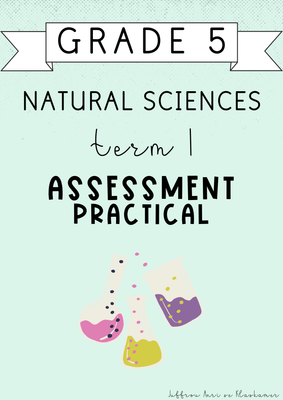 Grade 5 Natural Sciences Term 1 Practical Assessment (#2025)