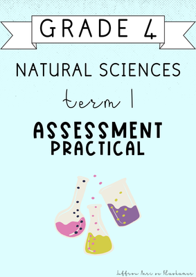 Grade 4 Natural Sciences Term 1 Practical Assessment (#2025)