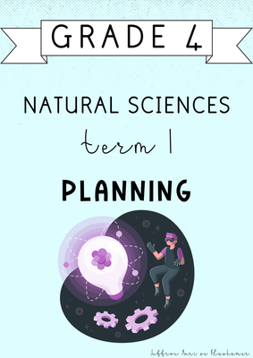 Grade 4 Natural Sciences Term 1 Planning (#2025)
