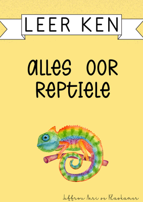 Leer ken reeks: Alles oor ander reptiele