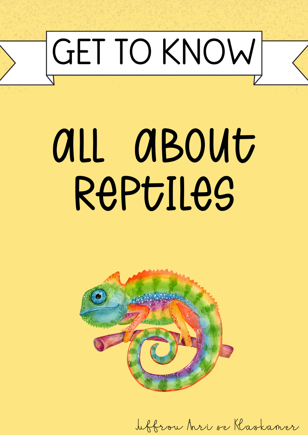 Get to know series: All about other reptiles