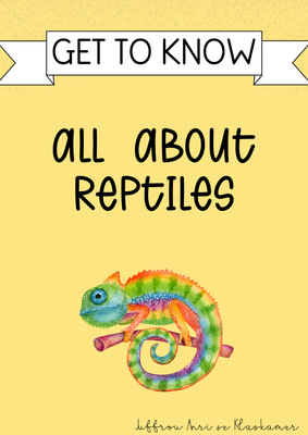 Get to know series: All about other reptiles