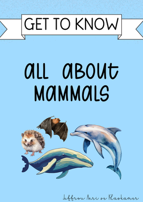 Get to know series: All about mammals