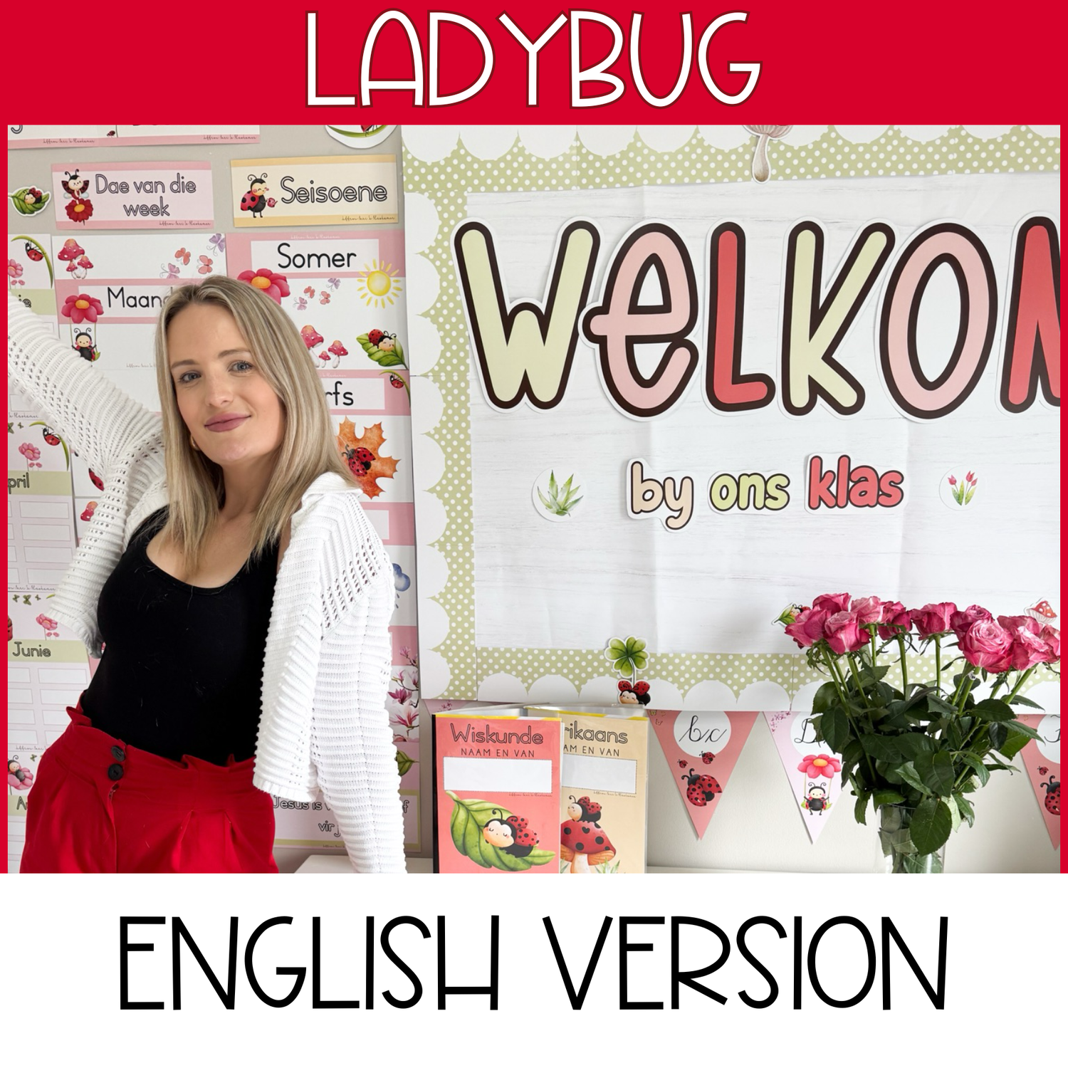LADYBUG CLASS THEME - ENGLISH