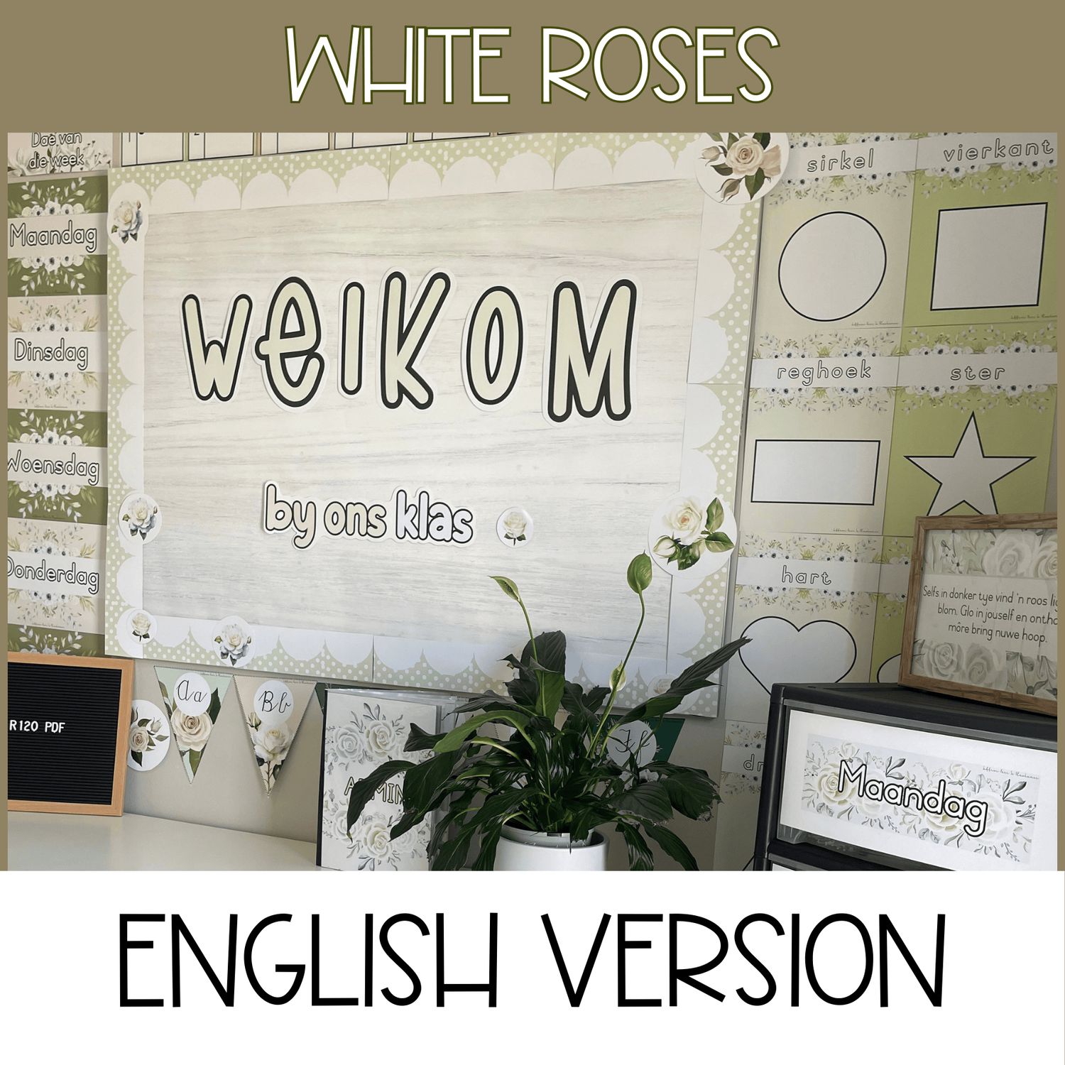 WHITE ROSES CLASS THEME - ENGLISH