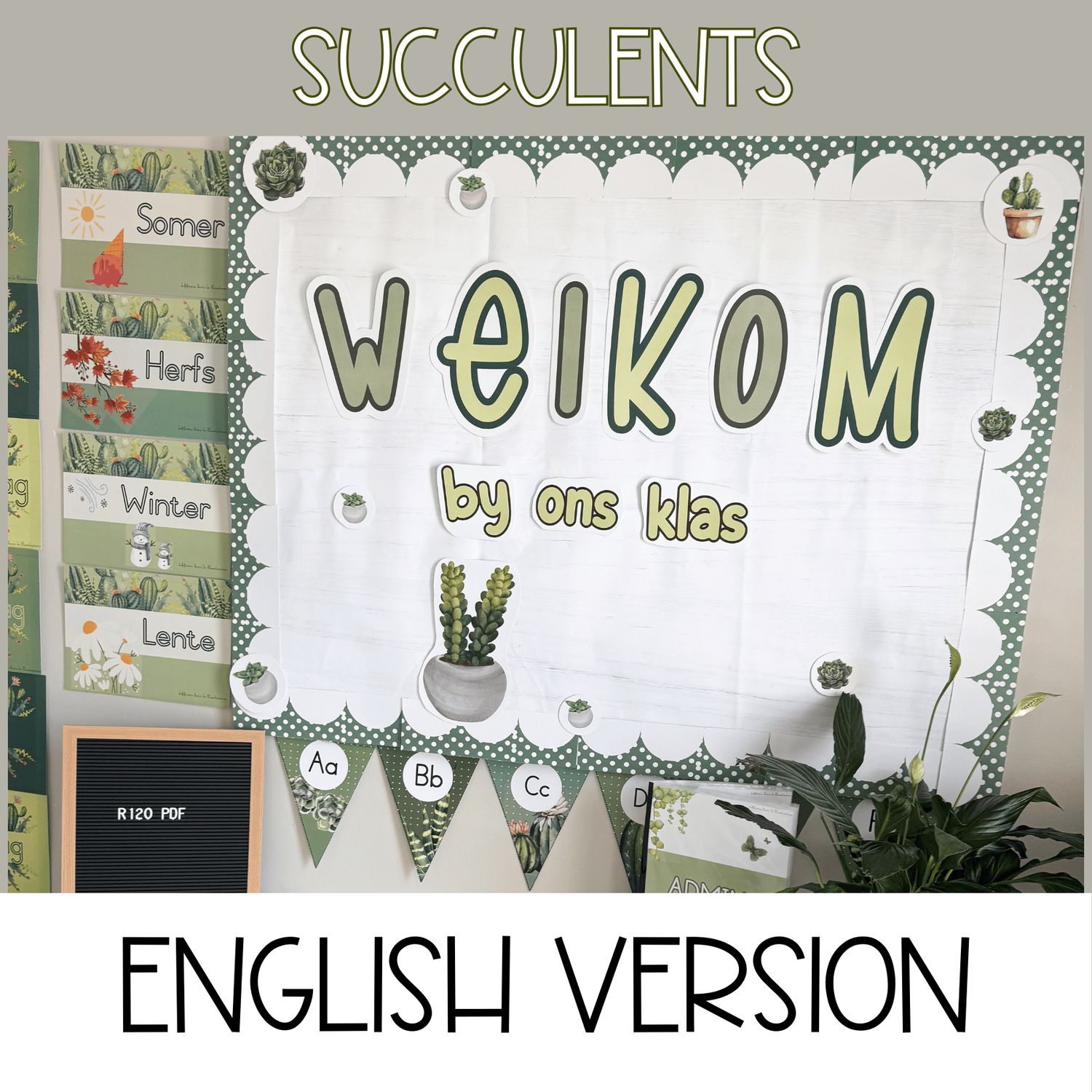 SUCCULENTS CLASS THEME - ENGLISH