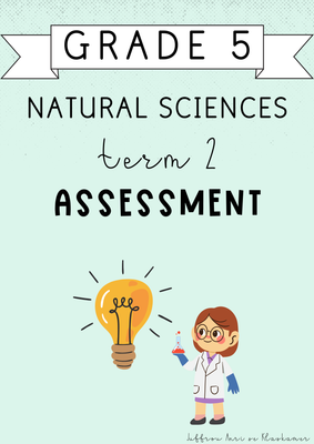 Grade 5 Natural Sciences Term 2 Assessment (2025)