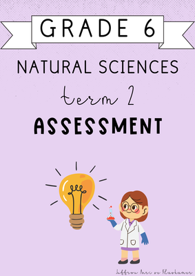 Grade 6 Natural Sciences Term 2 Assessment (2025)