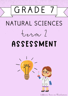 Grade 7 Natural Sciences Term 2 Assessment (2025)