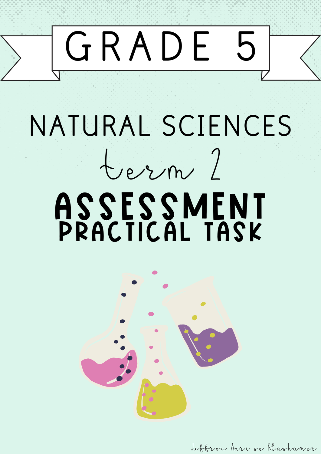 Grade 5 Natural Sciences Term 2 Assessment [Practical task] (2025)