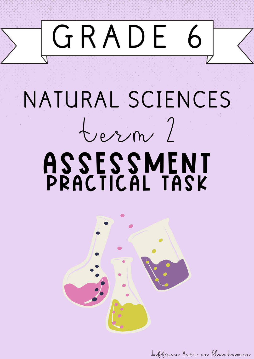 Grade 6 Natural Sciences Term 2 Assessment [Practical task] (2025)